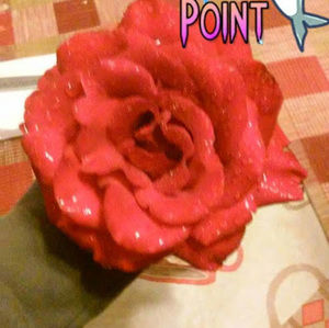 Meet your Posher, Raylynn